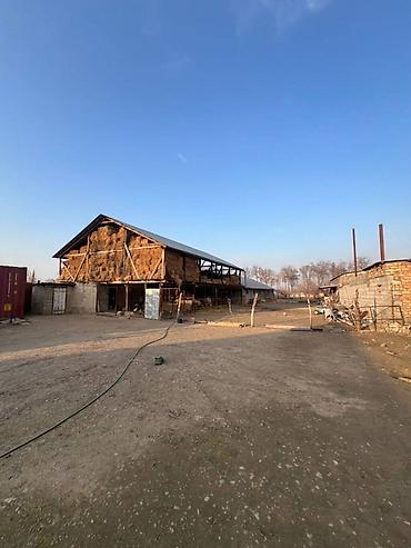 vip: 30 соток, Для строительства, Красная книга, Тех паспорт — 3