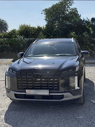 ej 20: Hyundai Palisade: 2023 г., 3.8 л, Автомат, Бензин, Кроссовер — 1