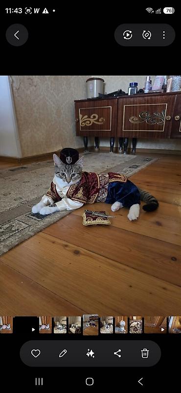 qara mal: Yaxşı əllərə, Ödənişli çatdırılma — 1