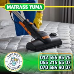 Xalçaların yuyulması: Xalçaların yuyulması | Xalçalar — 6