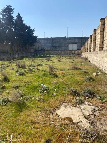 Torpaq sahələrinin satışı: 10 sot, Tikinti, Makler, Kupça (Çıxarış) — 12