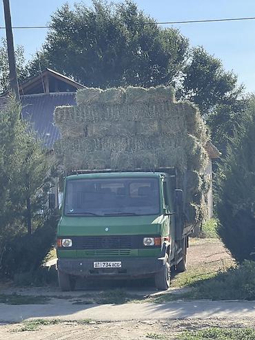 хова каракол: Грузовик, Mercedes-Benz, Дубль, 7 т, Б/у — 3