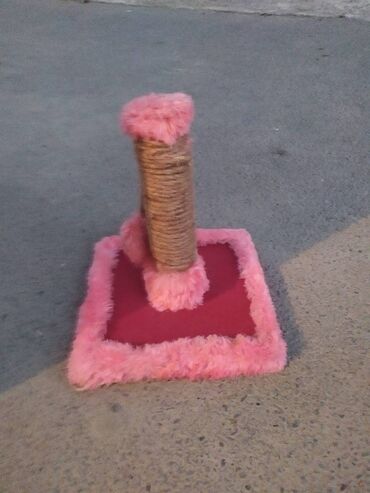 Pişik oyuncaqı satılır