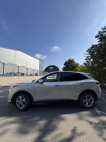 FAW: FAW : 2025 г., 0.1 - engine capacity л, Автомат, Электромобиль, Кроссовер — 4