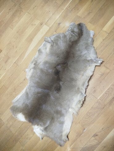 Yun: Təqdim olunan tebii ceyran dərisi əsasən açıq qəhvəyi və boz — 7