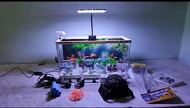baliq: Dördbucaq akvarium, Boş, 45 l, Ünvandan götürmə — 1