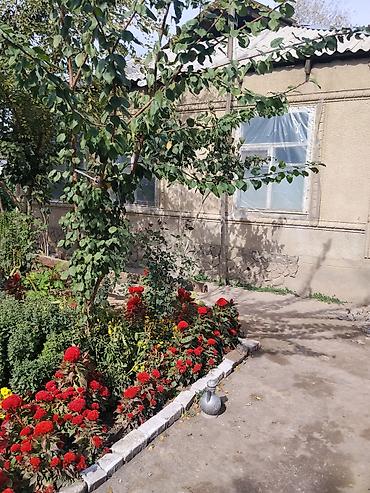 Үй жана бакча үчүн ыңгайлуулуктар: Үй жана бакча үчүн башка ыңгайлуулуктар — 1
