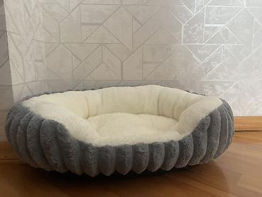 cocker spaniel: Yumşaq ev heyvanı yatağı – orta ölçü - Oval formalı, yüksək kənarlı — 2