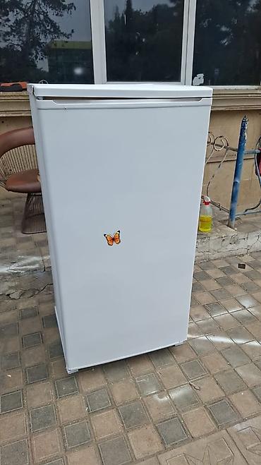 soyuducu cinar: Çinar soyuducu defrost ağ 170m çatdırılma pulsuz. SAMİRƏ — 1