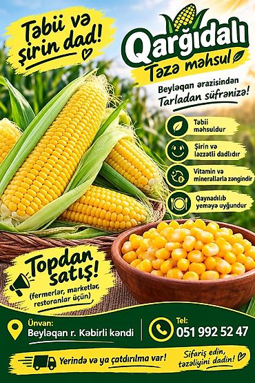 balıq məhsullarının satışı: Topdan qarğıdalı satışı — 1