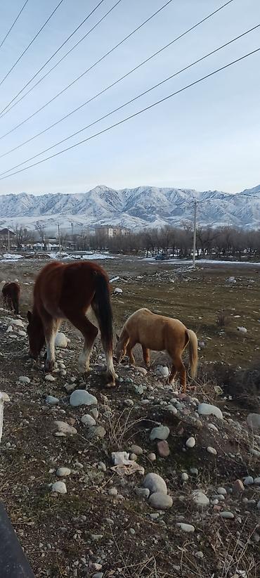 Уборка помещений: Хоумстейдж и предпродажная подготовка помещений + фото Помещение не — 21