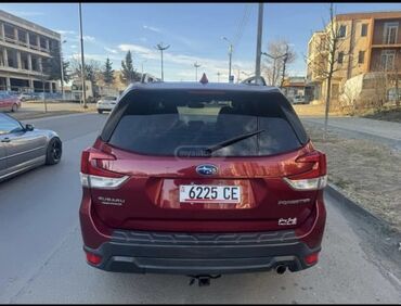 форанер 2016: Subaru Forester: 2019 г., 2.5 л, Автомат, Бензин, Внедорожник