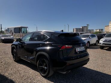 лексус nx 300: Lexus NX: 2017 г., 2 л, Автомат, Бензин, Кроссовер