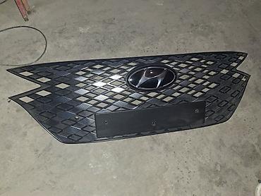 lining pantera: Передние решетки радиатора и подкрылок/защита арки для Hyundai — 1