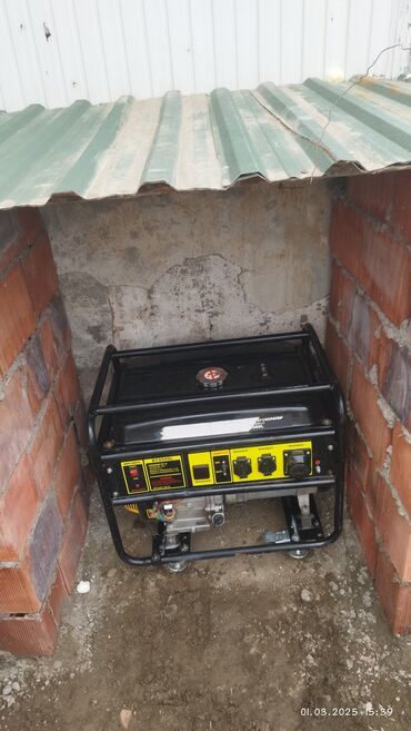 ciya toxumu faydalari: Satış, İşlənmiş, Benzin, Generator