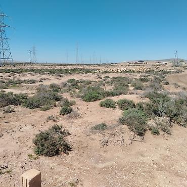 Torpaq sahələrinin satışı: 6 sot — 7