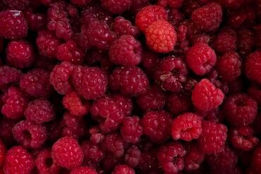 мясо кг цена бишкек: Малина Дүңүнөн, Акысыз жеткирүү