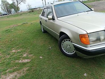 буфер 124: Mercedes-Benz W124: 1990 г., 2.3 л, Механика, Бензин, Седан — 8