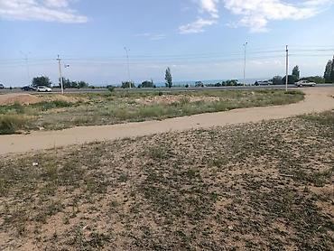 6 соток, Курулуш, Кызыл китеп — 1
