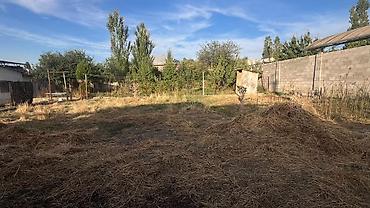 vip: 8 соток, Красная книга — 2