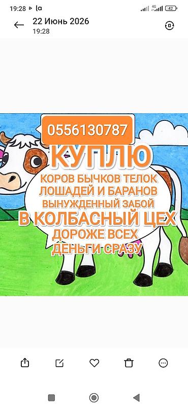 малёк рыбы: Колбасный цех : Лошади, кони, | На забой, на мясо — 1