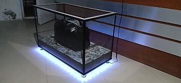 Rəf vitrinləri: LED işıqlı şüşə vitrin/masa - Material: dörd tərəfi şəffaf şüşə — 5