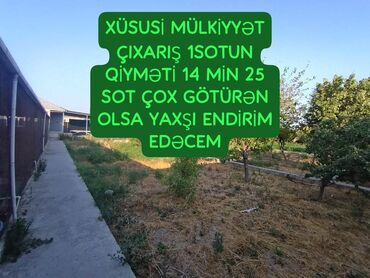 Torpaq sahələrinin satışı: 25 sot, Tikinti, Kupça (Çıxarış)