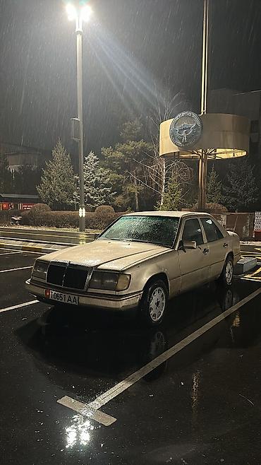 Mercedes-Benz: Mercedes-Benz W124: 1991 г., 2.3 л, Механика, Бензин, Седан — 3