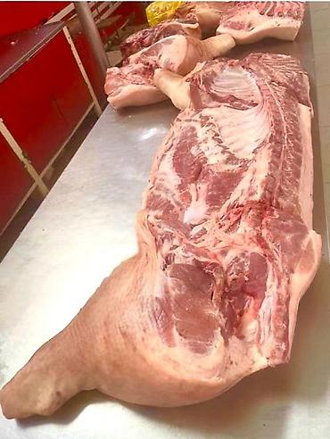 Свинина: ______продажа мяса свинины____ доброго время уважаемые клиенты — 1