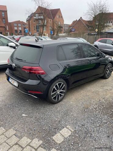 Volkswagen Golf: 1.6 l | 2017 year Hatchback