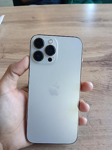 1 pro max: IPhone 13 Pro Max, серебристый - Экран 6.7" OLED Super Retina XDR — 1