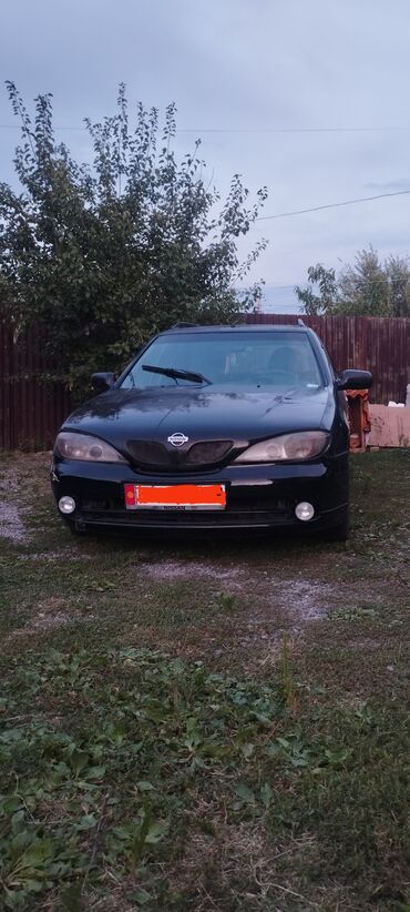 ниссан тиранно: Nissan Primera: 2001 г., 1.8 л, Механика, Бензин, Универсал