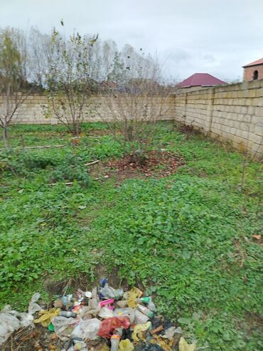 Torpaq sahələrinin satışı: 4 sot, Kupça (Çıxarış) — 3