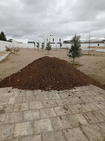Toxumlar: Şəhid ailələrinə çatdırılma pulsuzdur. Qara torpaq Şamaxı İsmayıllı — 8