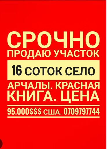 Жер тилкелери: 16 соток, Курулуш, Кызыл китеп, Техпаспорт, Сатып алуу-сатуу келишими