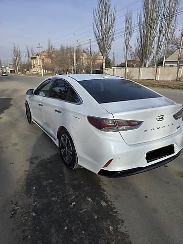 Hyundai: Hyundai Sonata: 2019 г., 2 л, Автомат, Гибрид, Седан — 2