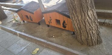 Yuvalar: Məhsul: Açıq havada istifadə üçün taxta pişik evi Təsvir: - Küçə və — 17