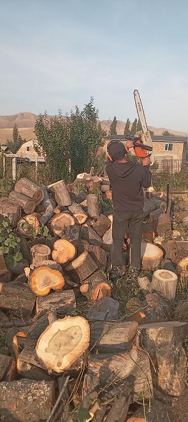 Спил деревьев, заготовка дров: Бак кыйабыз отун аралайбыз. ар кандай кыйынчылыктагы 24/7 чалып — 20