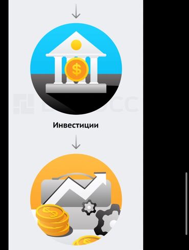 помощник ученик: Нужен инвестор