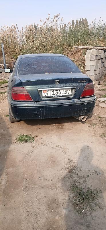 k7 kia: Honda Accord: 1999 г., Бензин, Седан — 2