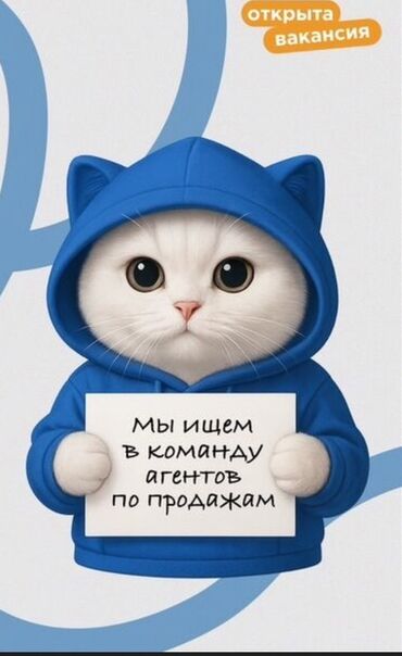 где искать работу в it: Вакансия: агенты по продажам Ищем специалистов по продажам в команду