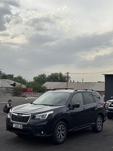 Subaru: Subaru Forester: 2019 г., 2.5 л, Вариатор, Кроссовер — 12