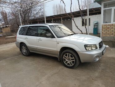 Subaru: Subaru Forester: 2004 г., 2 л, Автомат, Бензин, Универсал — 2