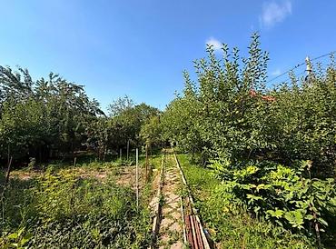 Продажа дач: 🚨🔥 СРОЧНО! ДАЧА МЕЧТЫ В КОЙ-ТАШЕ — ЗАЕЗЖАЙ И ОТДЫХАЙ УЖЕ СЕГОДНЯ! 🔥🚨 — 13