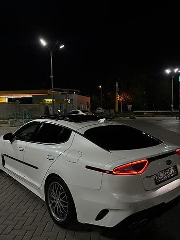 Kia: Kia Stinger: 2021 г., 3.3 л, Автомат, Бензин, Лифтбек — 4