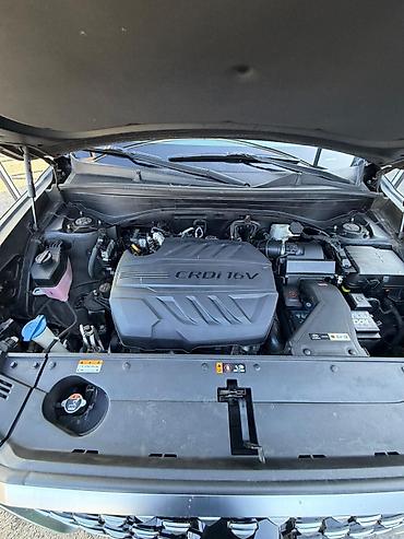 Hyundai: Hyundai Palisade: 2020 г., 2.2 л, Автомат, Дизель, Кроссовер — 24