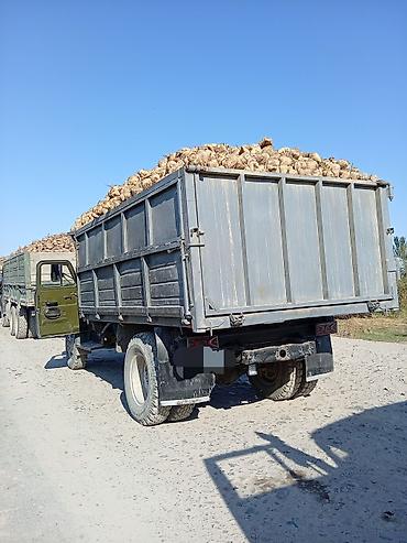 газ 53 пазик: Грузовик, ГАЗ, Стандарт, 5 т, Б/у — 3
