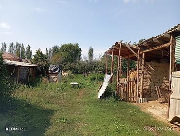Дома: Дом с большим участком и хозяйственными постройками - Жилой — 4