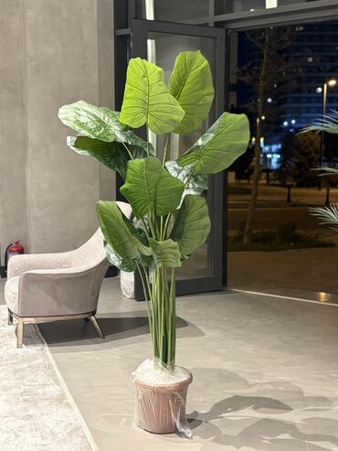 Süni güllər: Dekorativ süni ağaclar dəsti - Model 1: Varlıqlı yarpaqlı dekorativ — 24