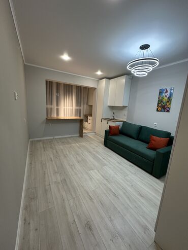 1 комнатная квартира без мебели: 1 комната, 26 м², Индивидуалка, 3 этаж, Евроремонт